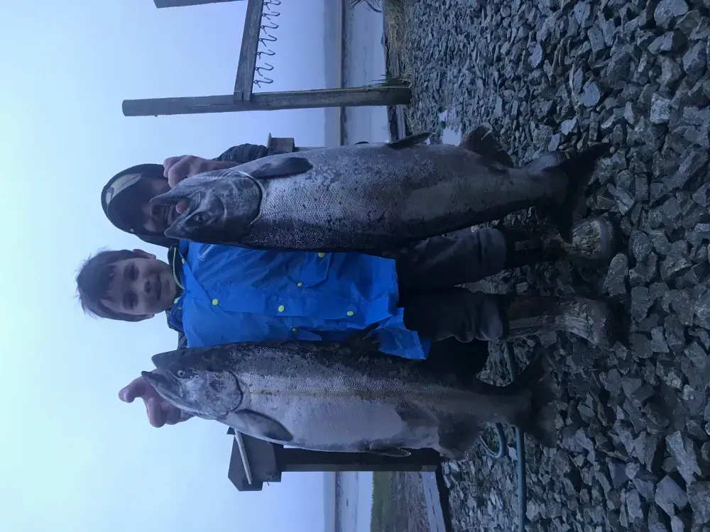 Kasilof River King Salmon