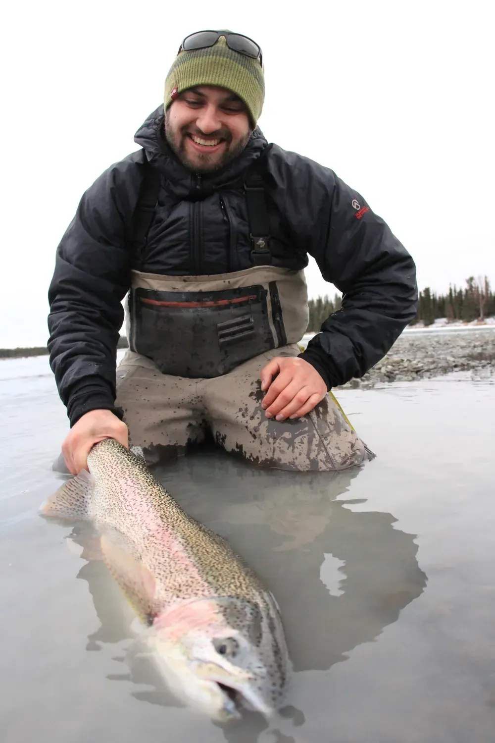 Rainbow trout catch and release on the Kenai